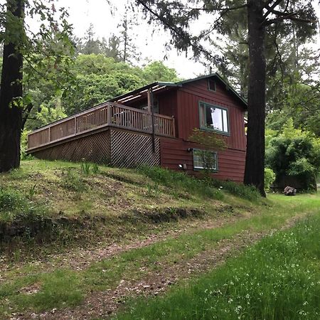 Avenue Of The Giants Caraway Cottage Miranda Εξωτερικό φωτογραφία