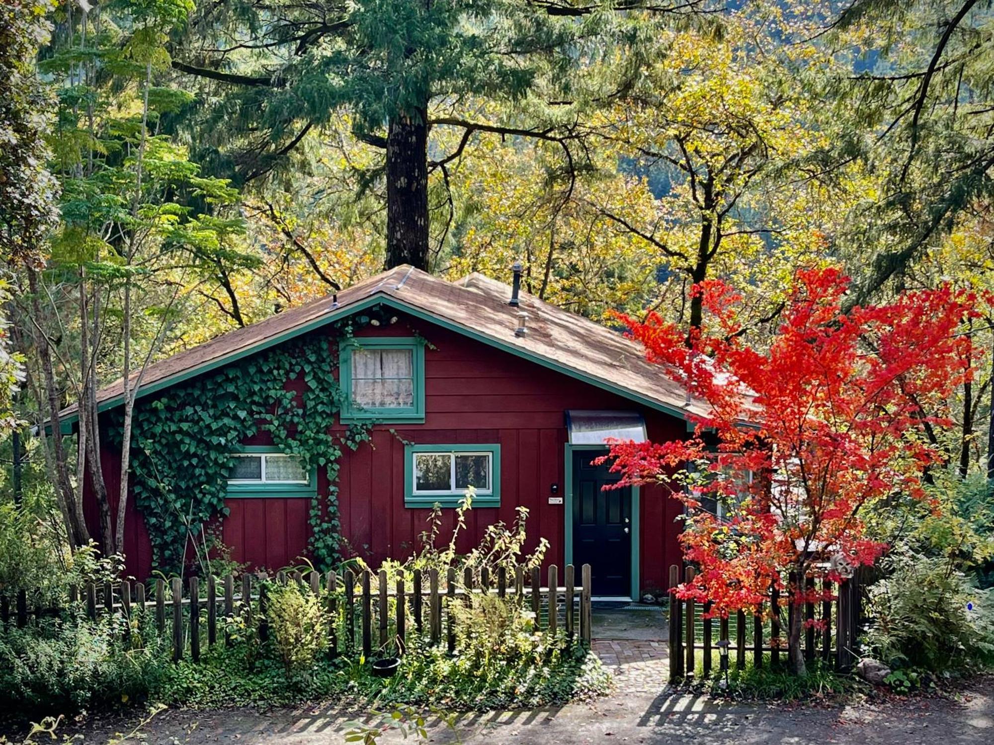 Avenue Of The Giants Caraway Cottage Miranda Εξωτερικό φωτογραφία