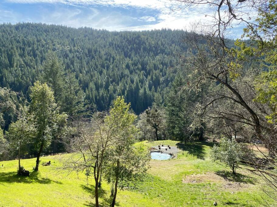 Avenue Of The Giants Caraway Cottage Miranda Εξωτερικό φωτογραφία