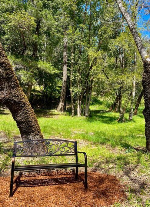 Avenue Of The Giants Caraway Cottage Miranda Εξωτερικό φωτογραφία