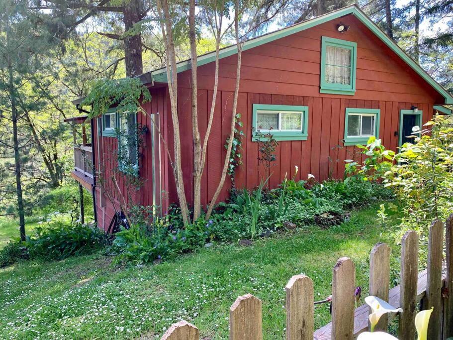 Avenue Of The Giants Caraway Cottage Miranda Εξωτερικό φωτογραφία