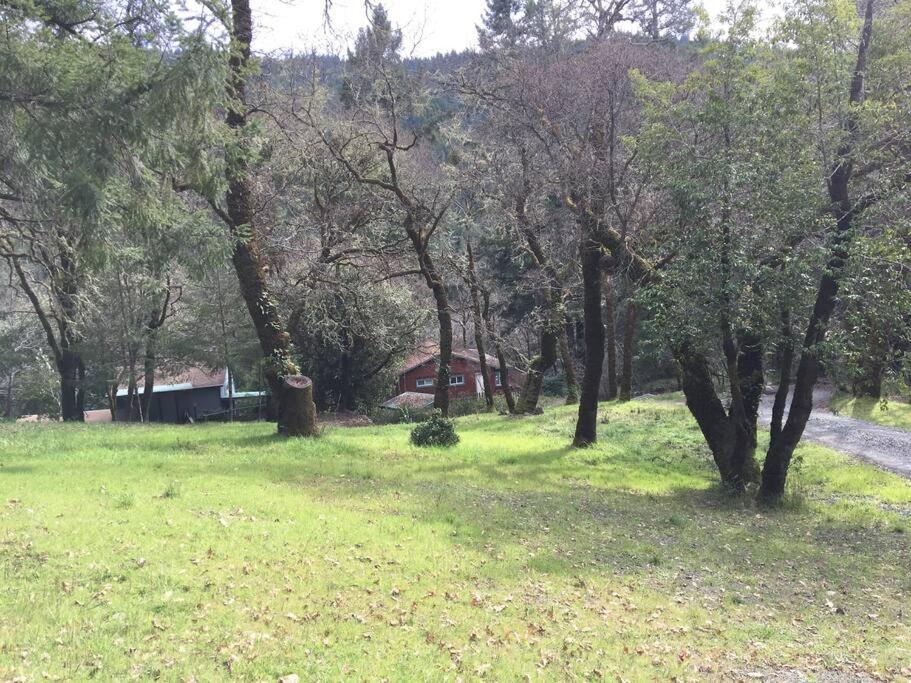 Avenue Of The Giants Caraway Cottage Miranda Εξωτερικό φωτογραφία