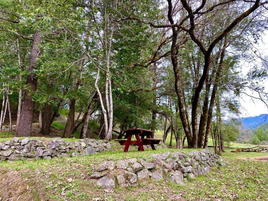 Avenue Of The Giants Caraway Cottage Miranda Εξωτερικό φωτογραφία
